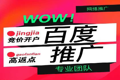 行业领先企业背后的信息流代运营案例